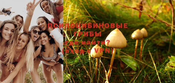 mdma Богородицк