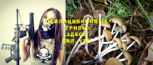таблы Богородск
