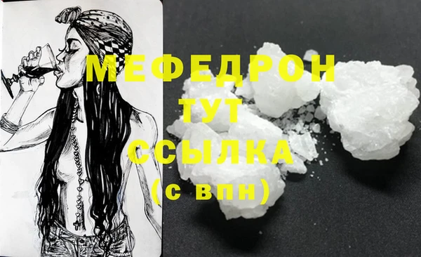 соль ск Богданович