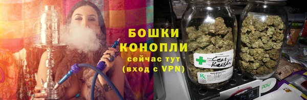 соль ск Богданович