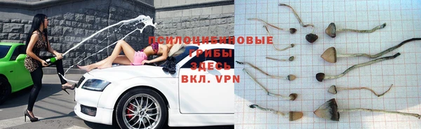 соль ск Богданович